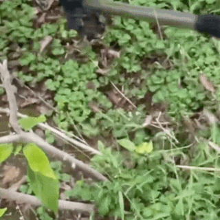 The Weed Warrior Trio™ - Weed, Spray & Maintain Without the Backache