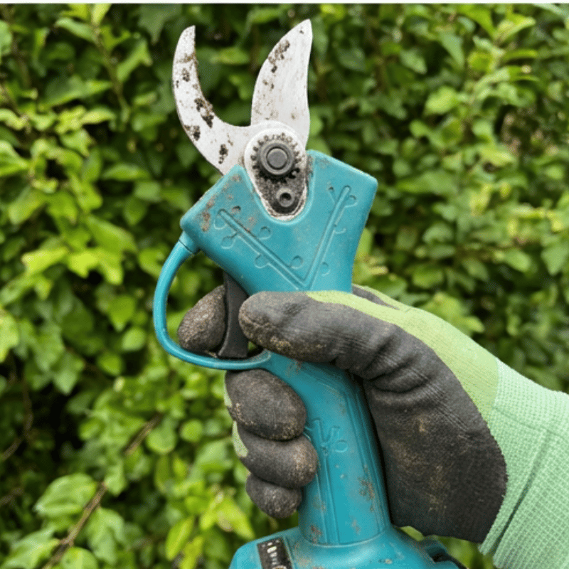 <p>“It’s Given Me My Garden Back” – Real Gardener Stories</p>