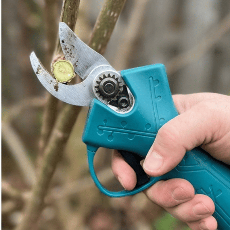 <p>“It’s Given Me My Garden Back” – Real Gardener Stories</p>